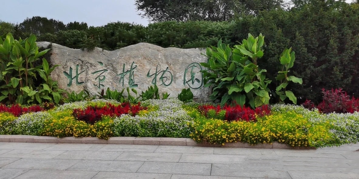 北京植物园门票 电子票 北京必打卡景点 香山周边 亲子游 赏花 踏青