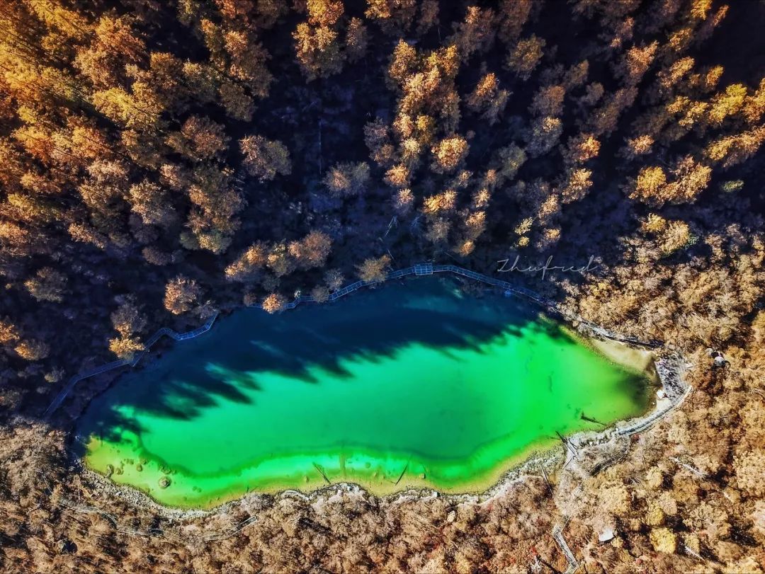 青蛙海 :远离喧嚣的宁静