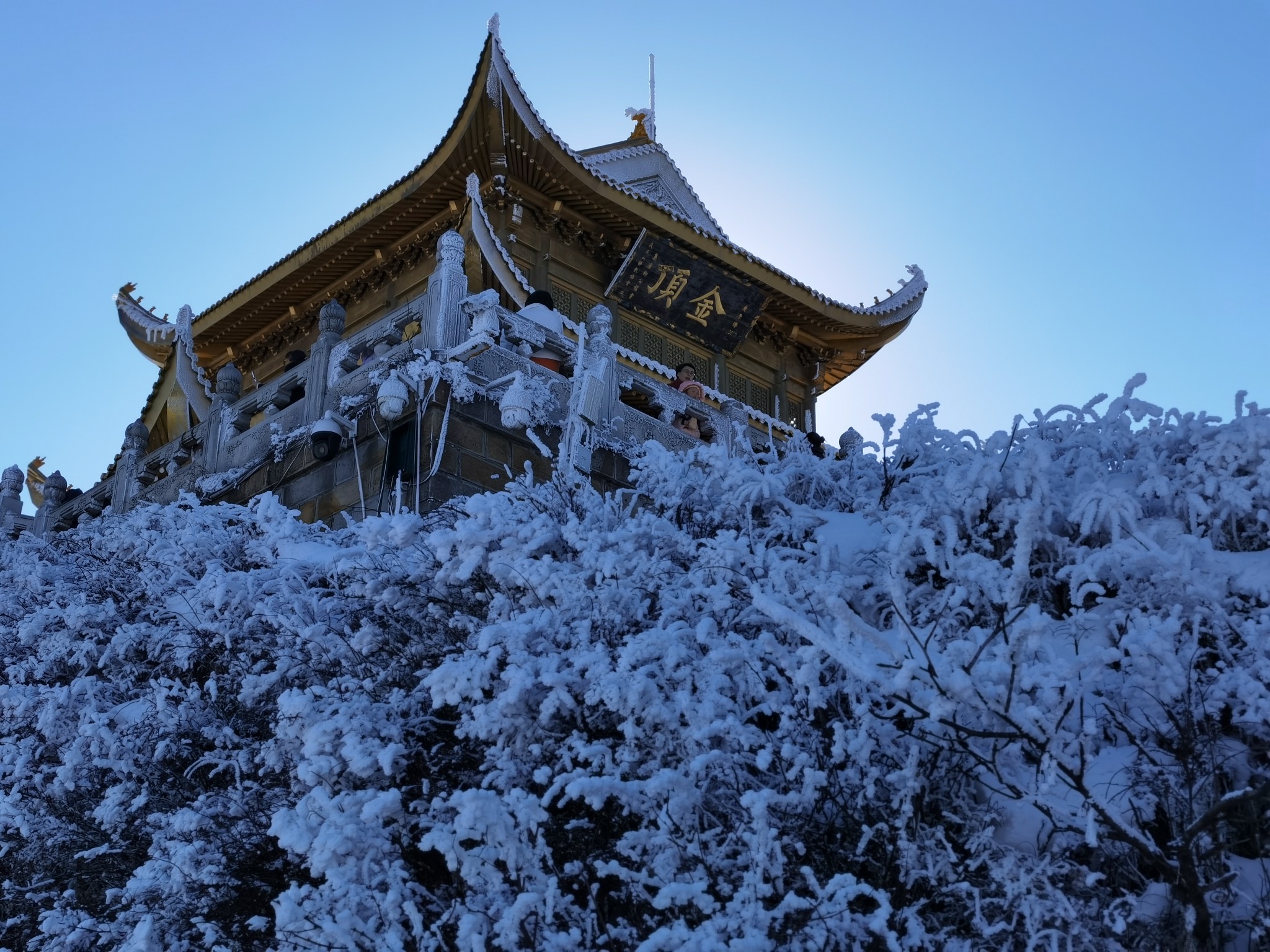 2021年元旦峨眉山尖尖走一走 - 馬蜂窩