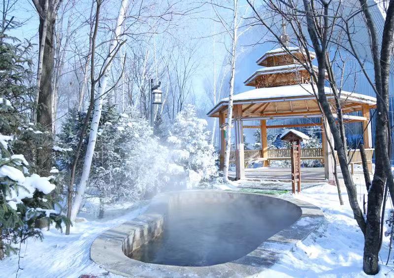 雪乡-冰雪画廊-雪地摩托-vlog私人纪录片-雪地温泉 索菲娅教堂 中央