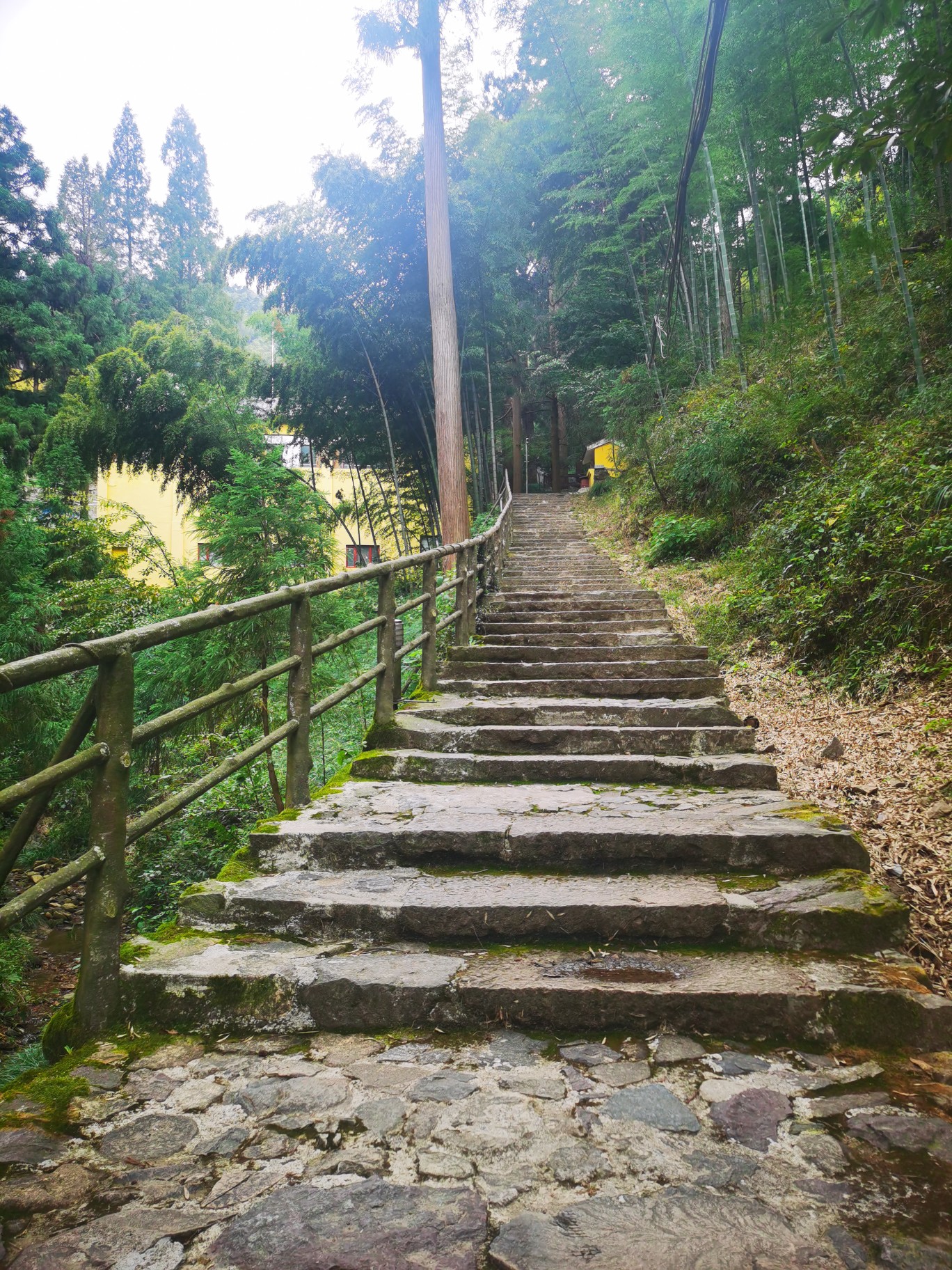 臨安東天目山一日遊