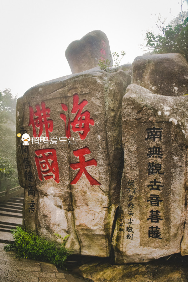 缘记普陀山,两天一夜朝拜之旅,有种信仰叫佛在心间!(附详细攻略)