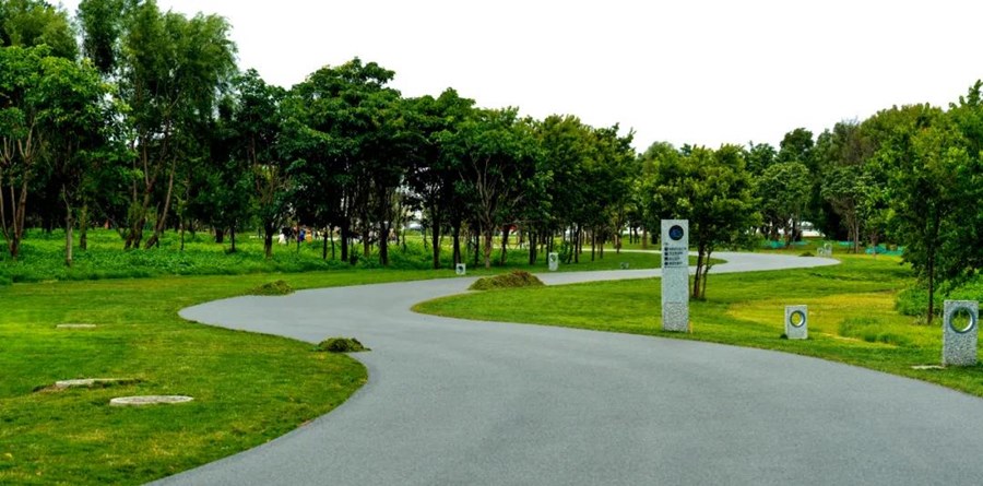 大理洱海生态廊道一日游