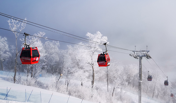 东北旅游吉林万科松花湖滑雪胜地一日游全程纯玩无自费一价全包滑雪