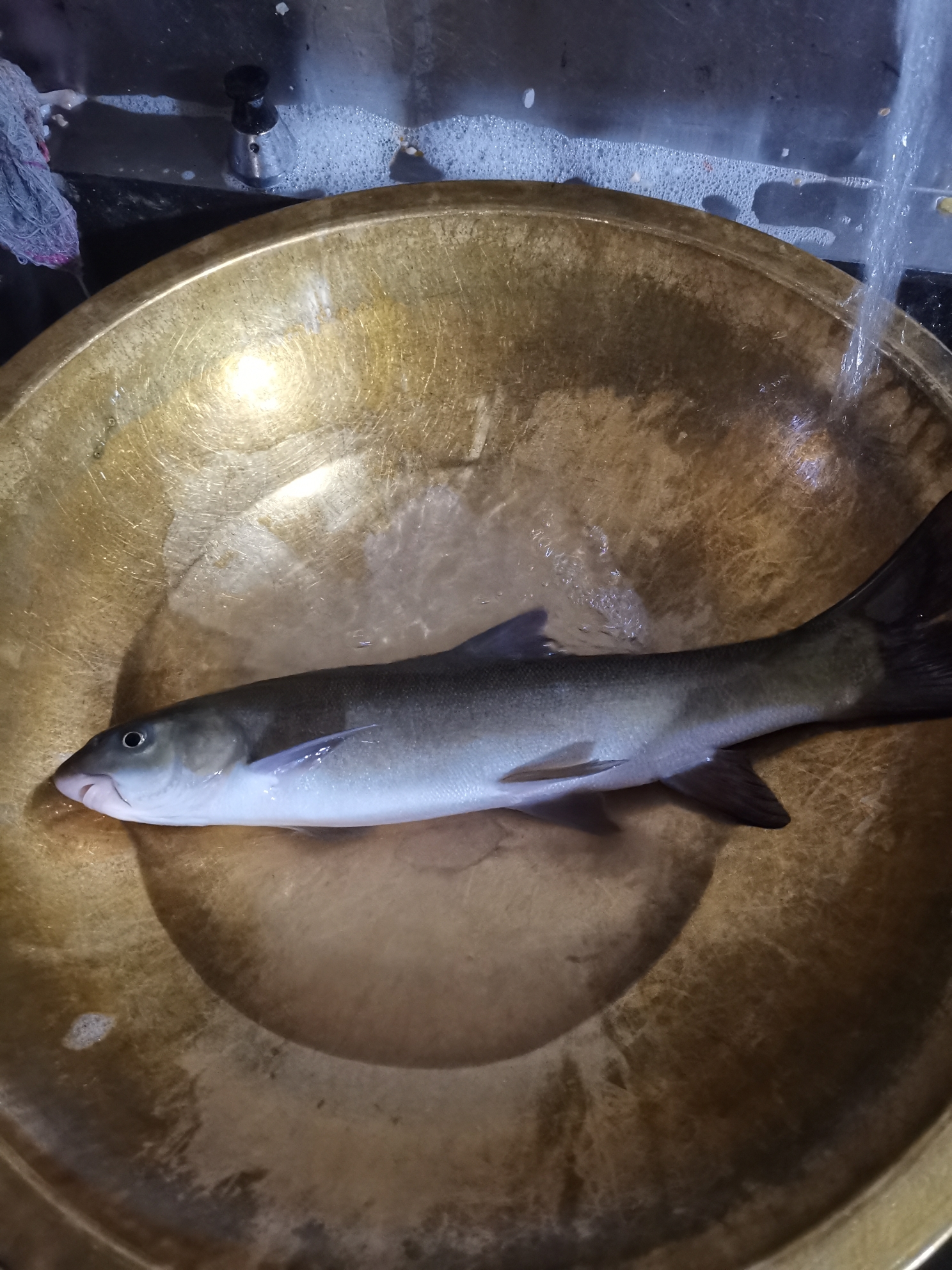 一车三人去拉萨(第一篇)