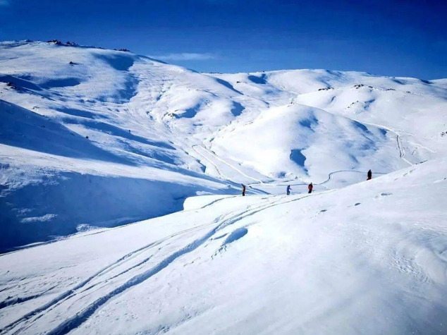 新疆滑雪粉雪天堂阿勒泰野卡峽國際滑雪場純玩3日遊營地滑雪高山滑雪