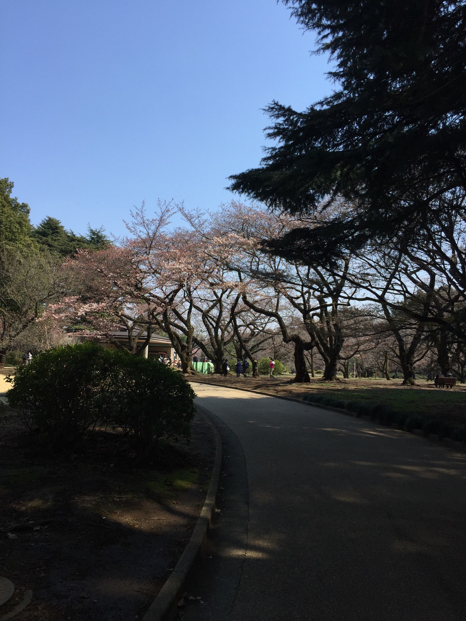 東京自助遊攻略