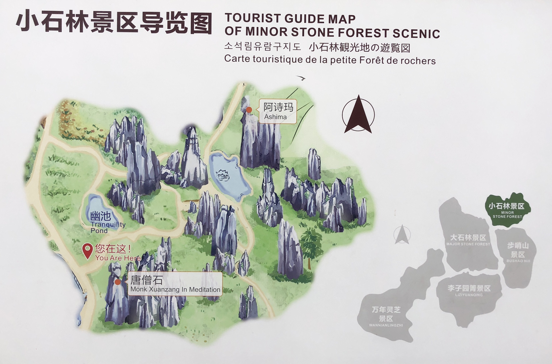 贵州石林景点介绍图片