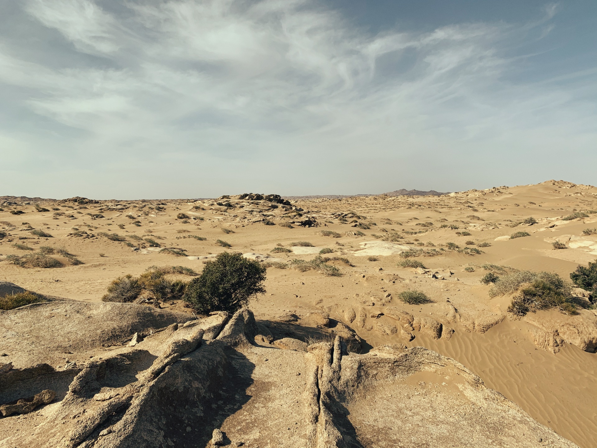 震撼眼球——戈壁荒漠风沙肆虐过的石头