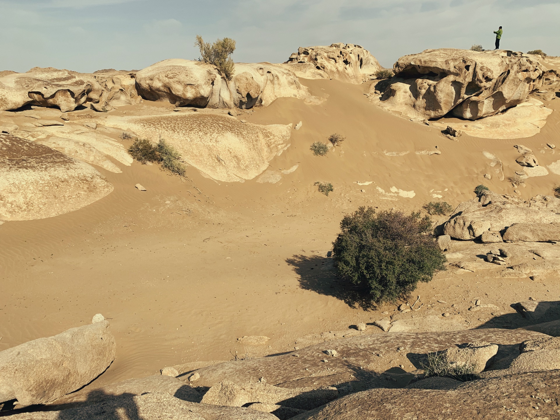 震撼眼球——戈壁荒漠风沙肆虐过的石头,阿拉善右旗旅游攻略 - 马蜂窝