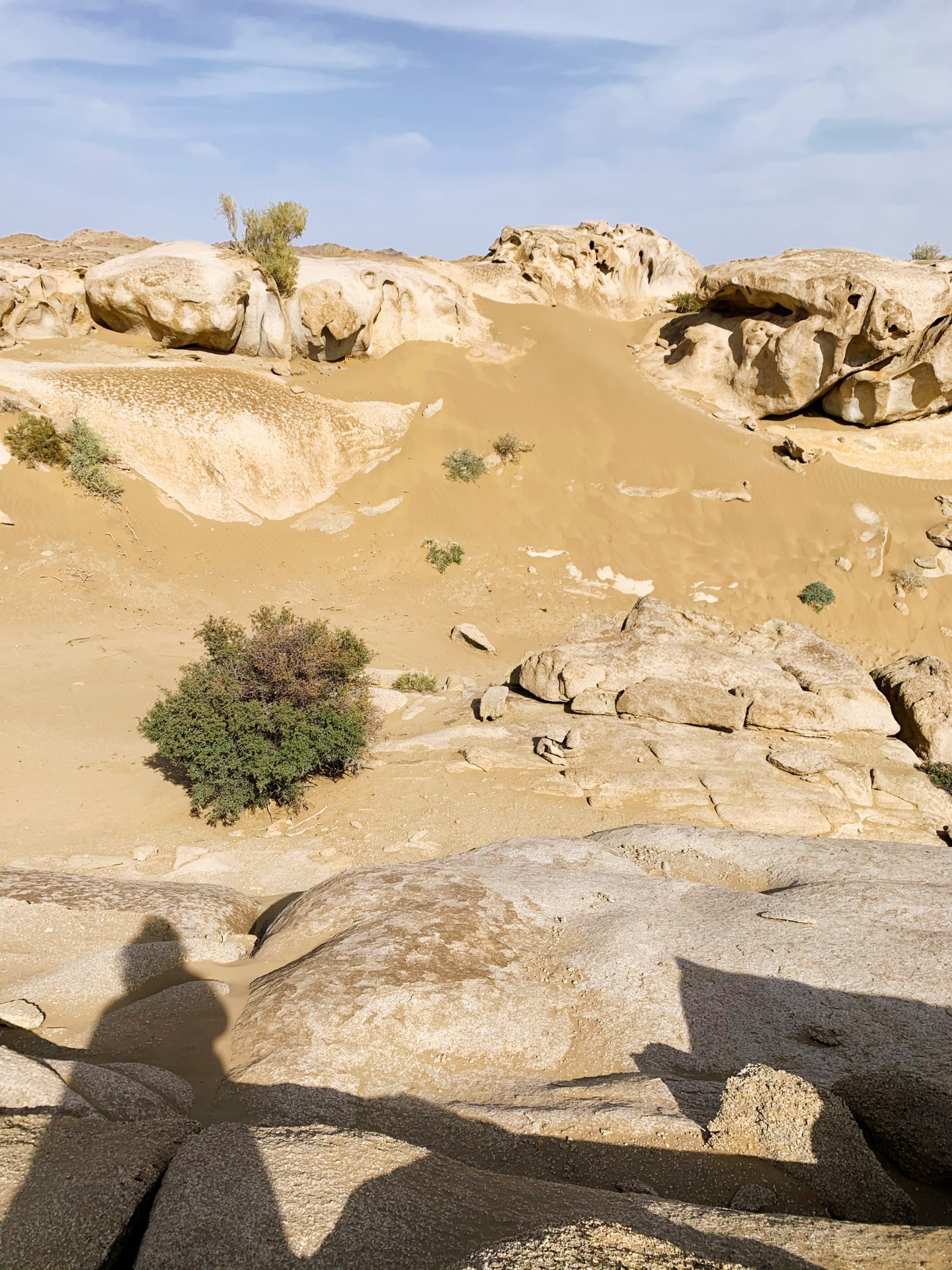震撼眼球——戈壁荒漠风沙肆虐过的石头,阿拉善右旗旅游攻略 - 马蜂窝
