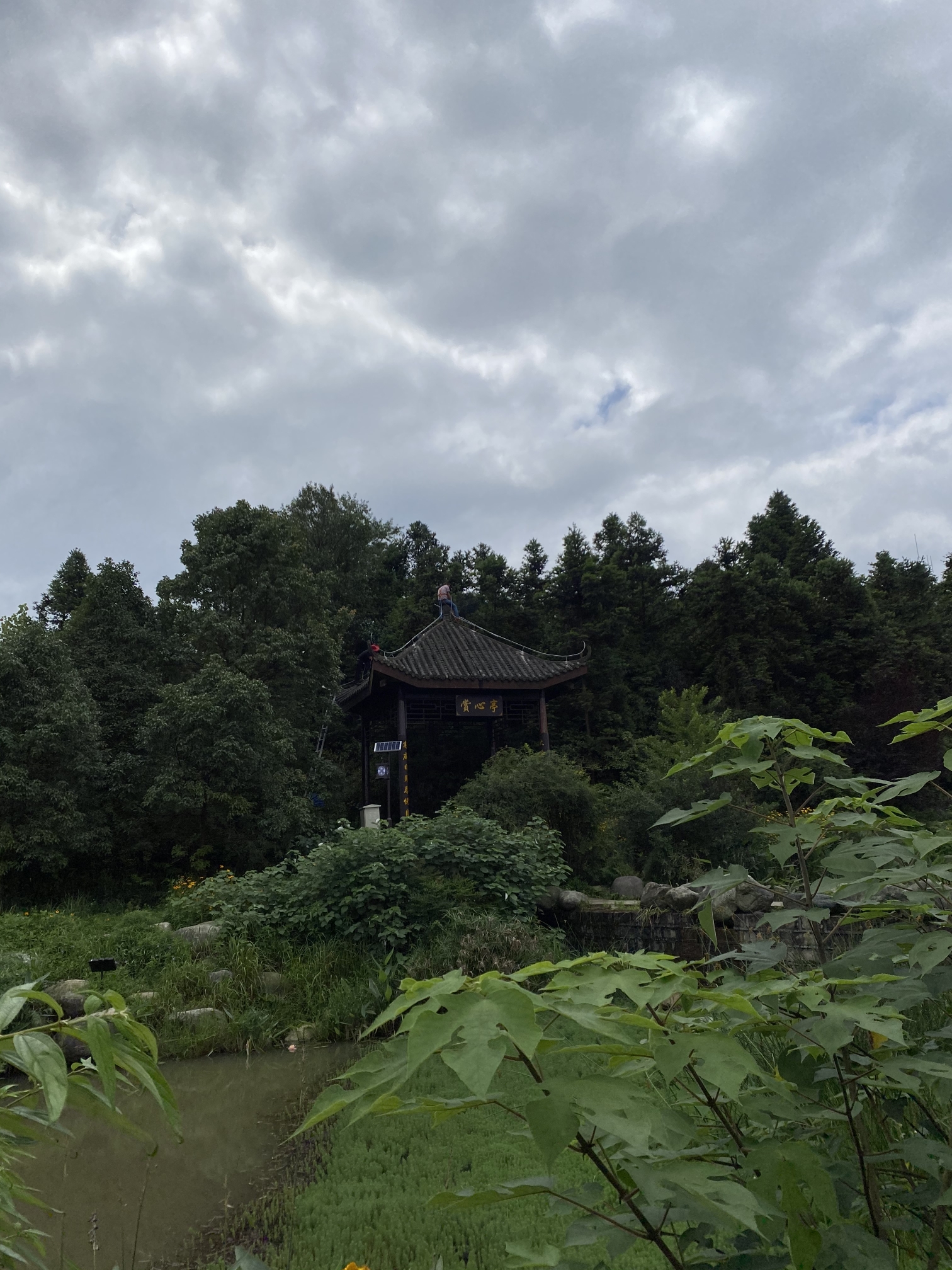 重庆 綦江高庙坝come on