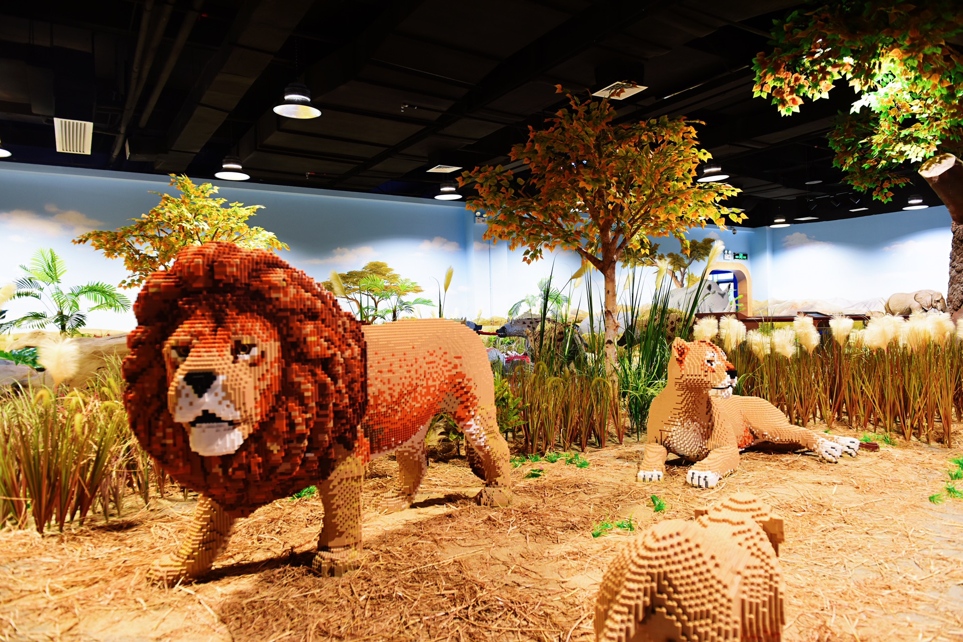 嗨翻大梦探索乐园,深圳亲子游绝佳好去处