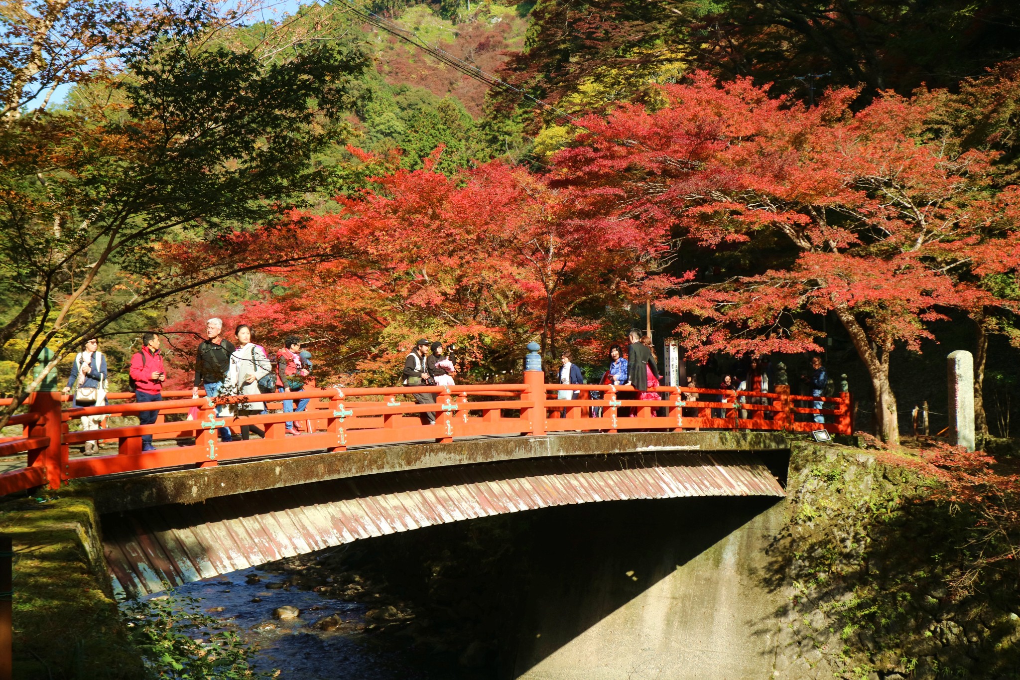 京都自助遊攻略