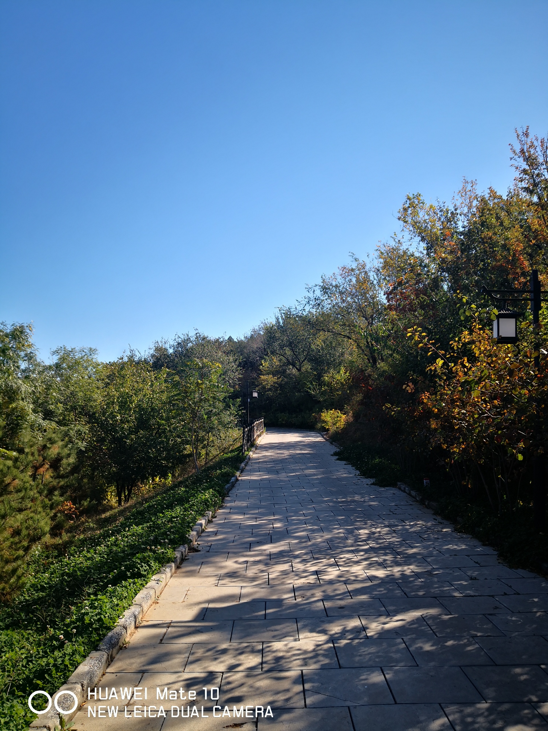 戒台寺郊野公园旅游图片,戒台寺郊野公园自助游图片,戒台寺郊野公园