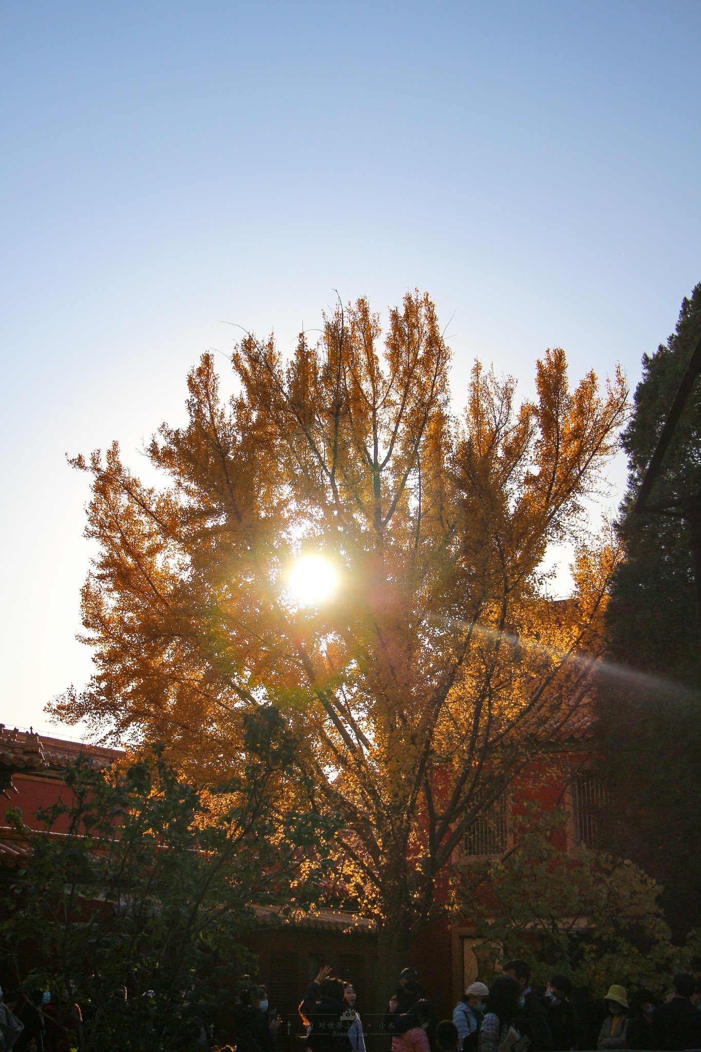 首都· 北京 | 向还珠格格请安 # 太阳当空照~花儿对我笑