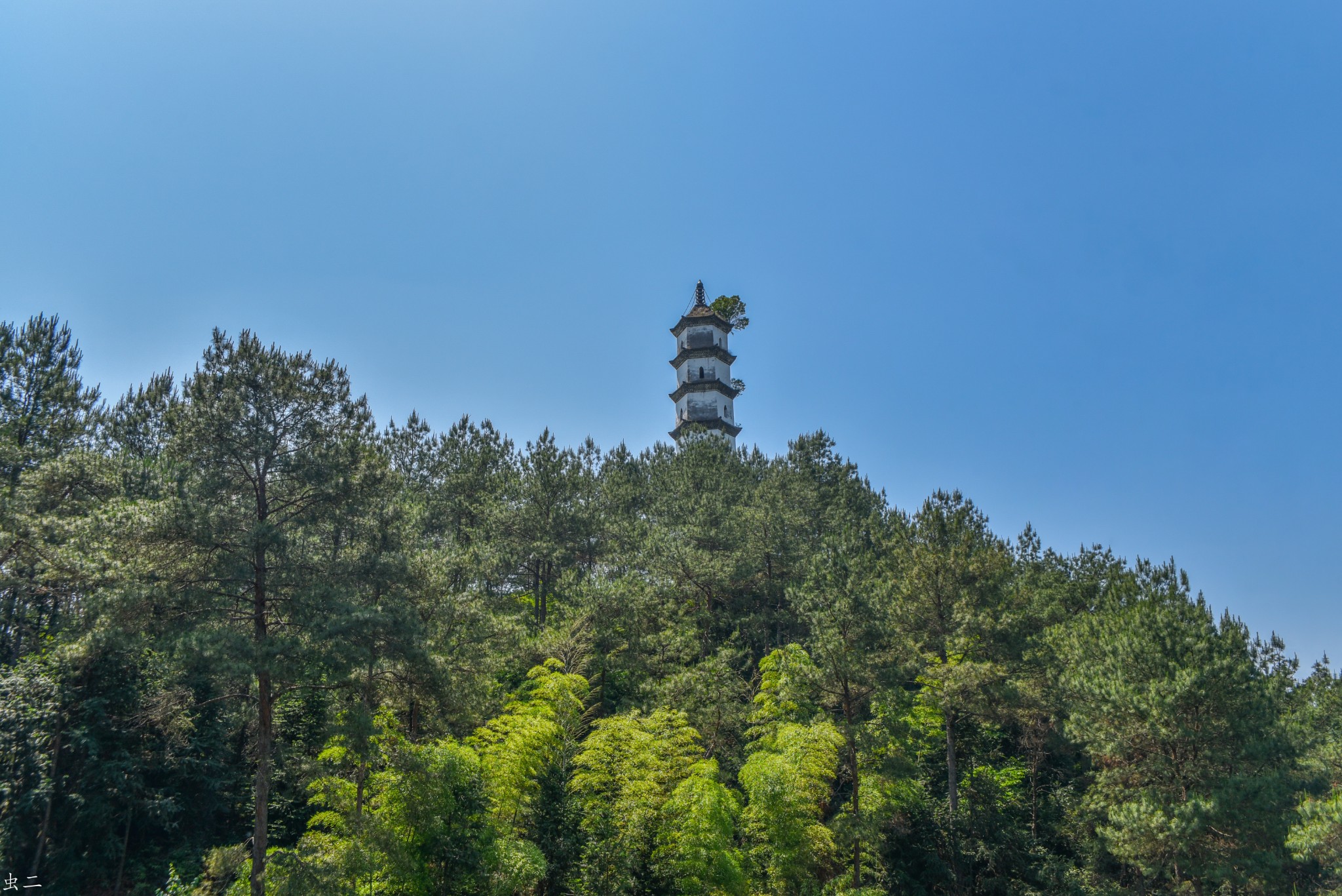 松阳 青云塔 县保 古塔巡礼系列之444 青蒙塔