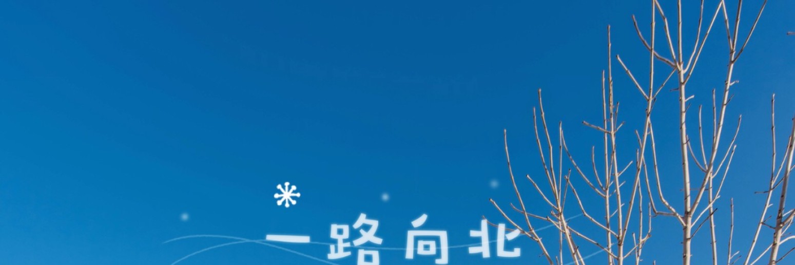 亚布力雪乡自由行攻略一路向北丨南方姑娘冰雪奇缘初体验雪景婚纱