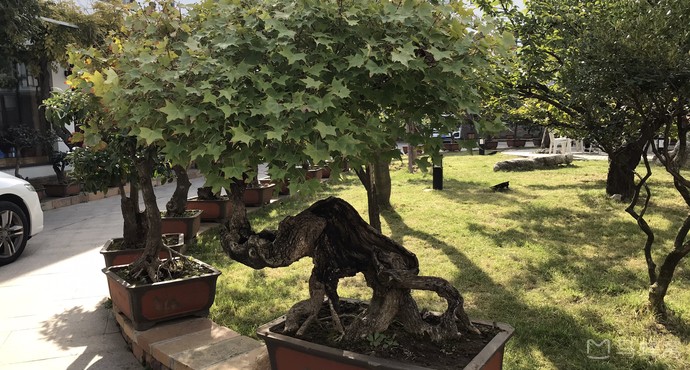 博山陶瓷琉璃大观园