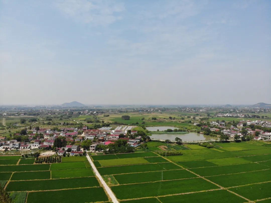 庐江县白山镇鸡鸣村图片