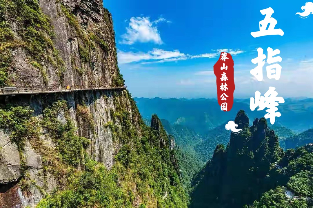 莽山五指峰1000米高差凌云栈道 | 郴州旅游攻略_游记