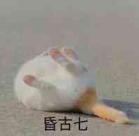 春风得意马蹄疾,一日看尽长安花‖东方航空2020版随心飞第一城‖西安