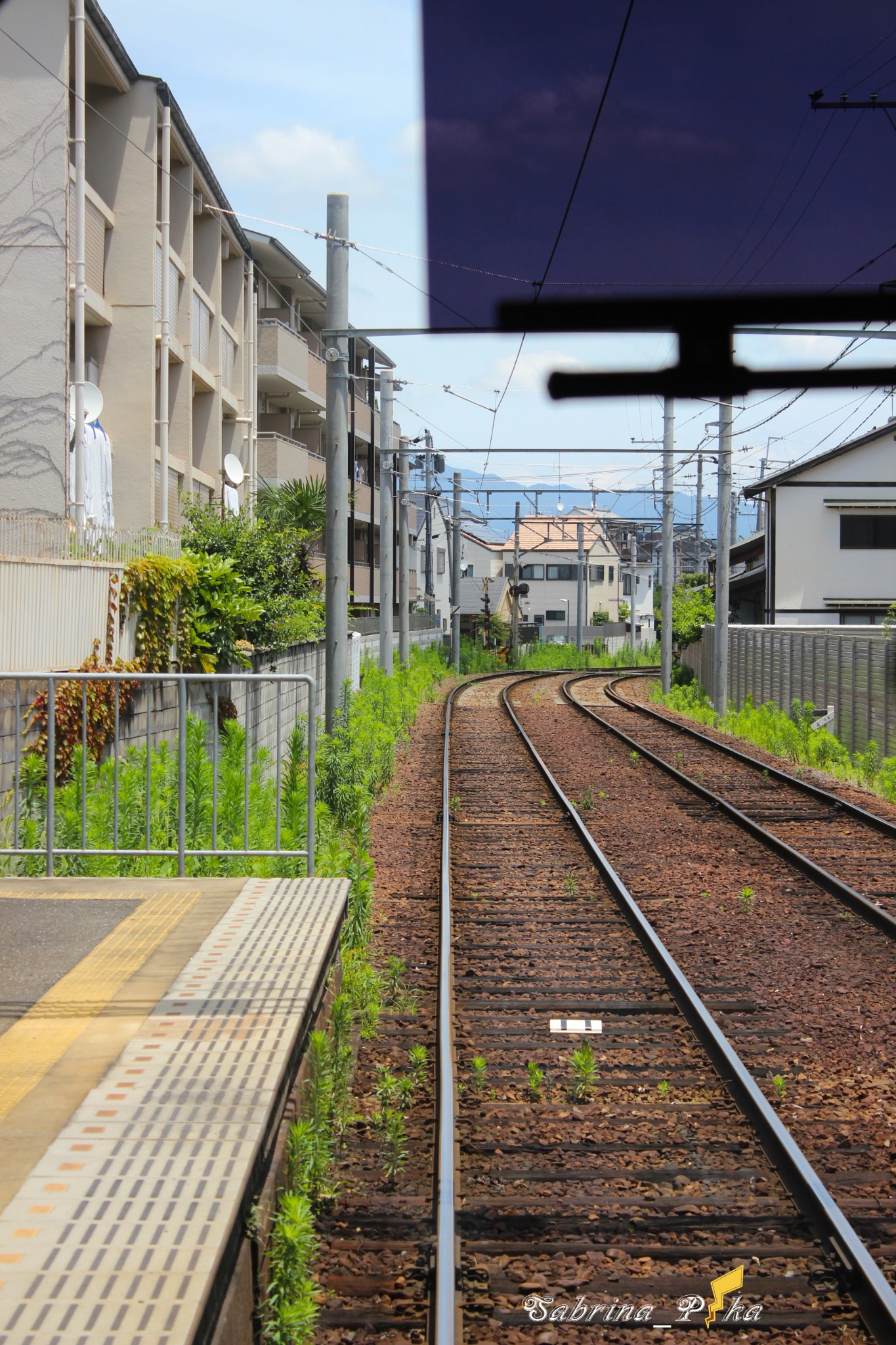 京都自助遊攻略