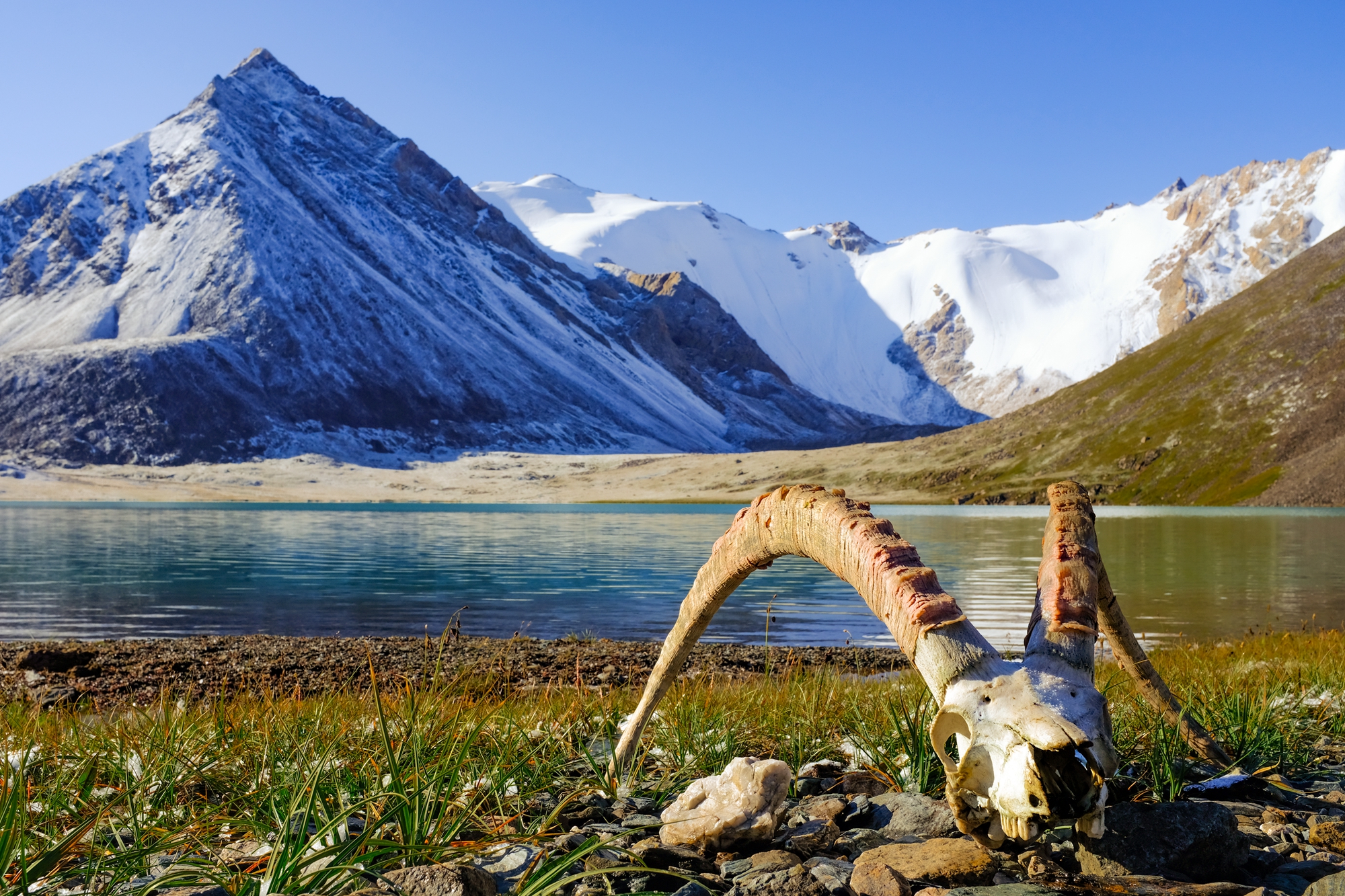 【轻奢体验·美与虐的交织】新疆12日游轻装狼塔c v·全程专业领队