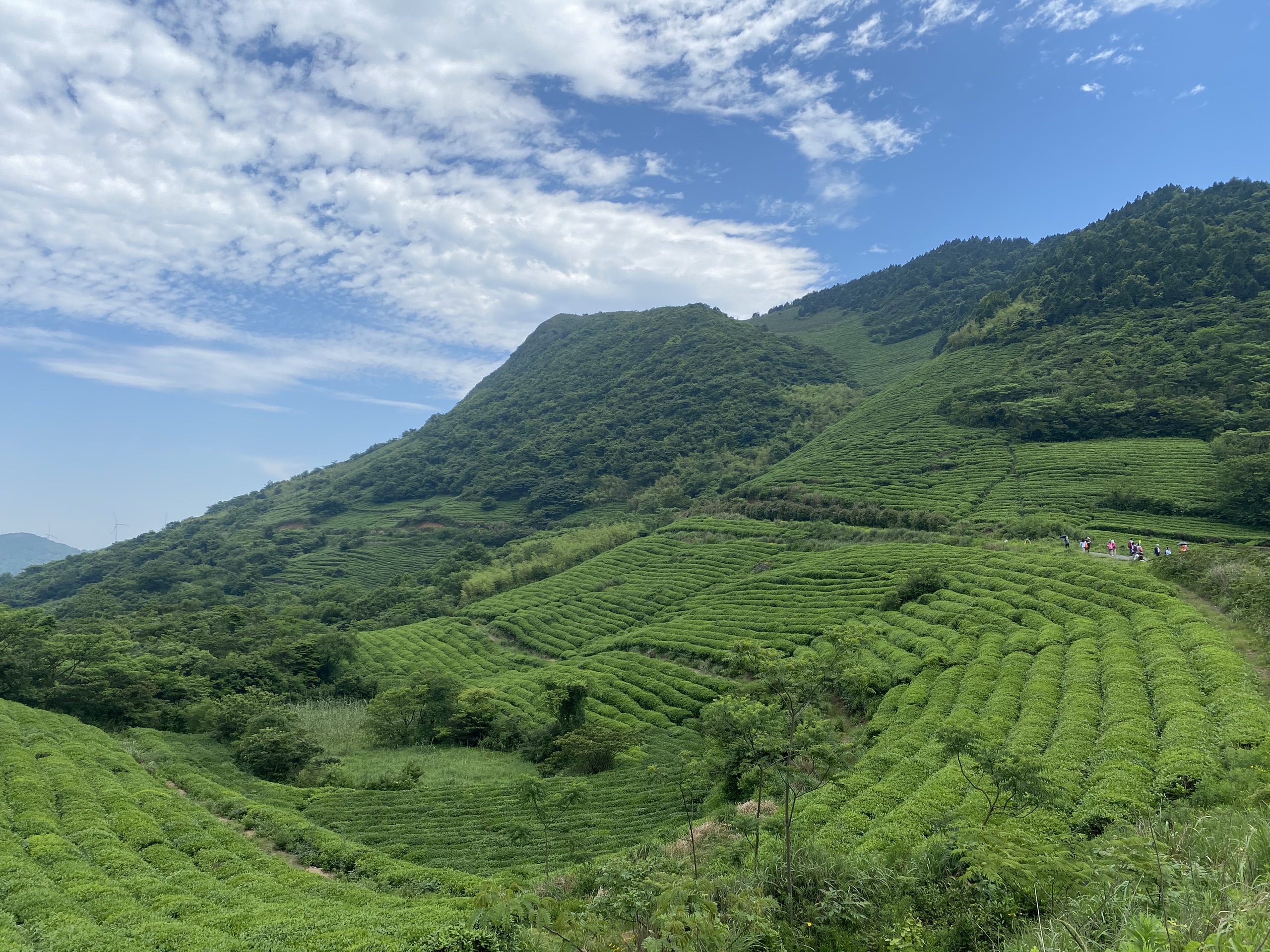 宁波白岩山风车公路旅游图片,宁波白岩山风车公路自助游图片,宁波白岩