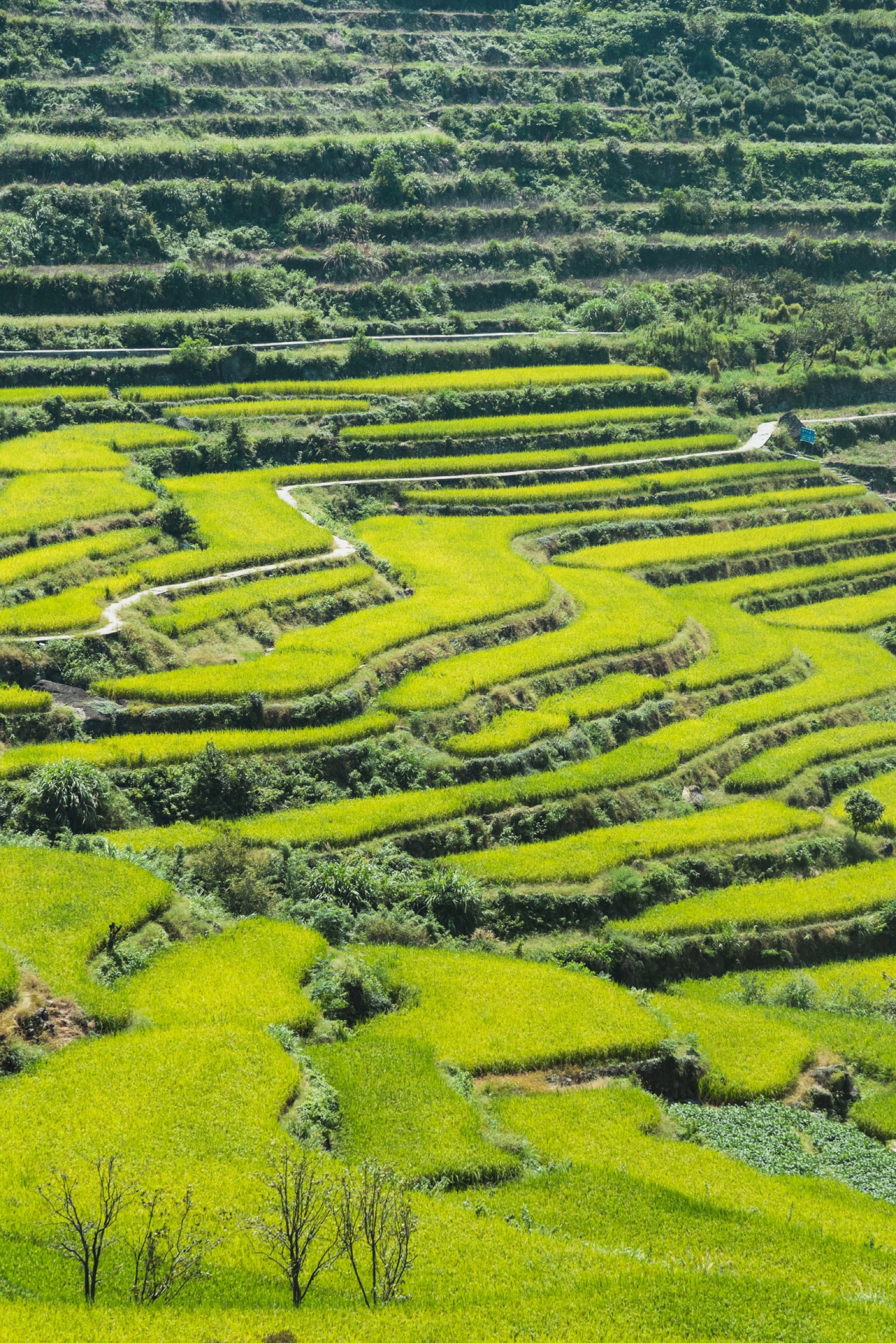 覆卮山景区照片图片