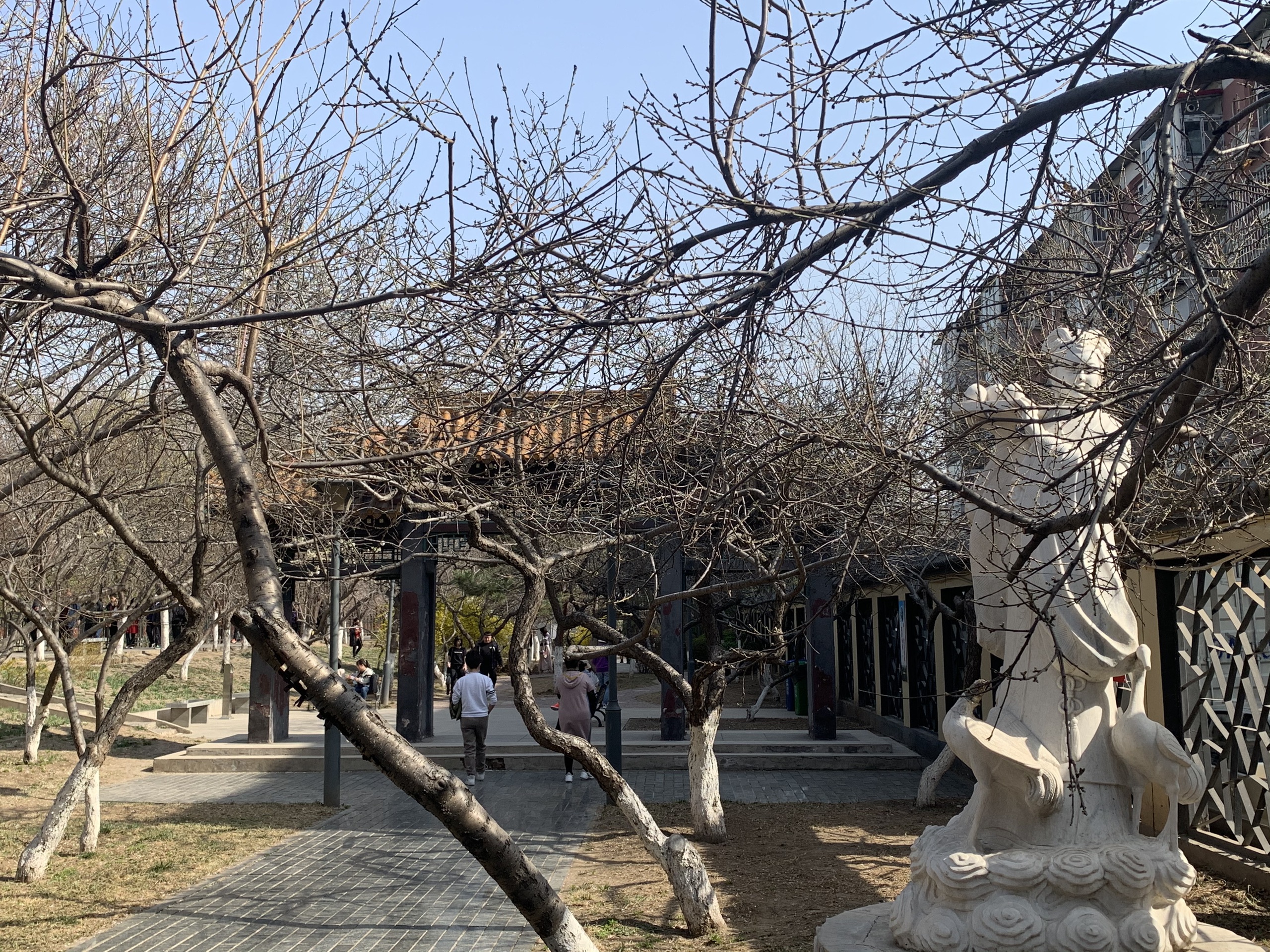 桃花堤公園旅遊圖片,桃花堤公園自助遊圖片,桃花堤公園旅遊景點照片