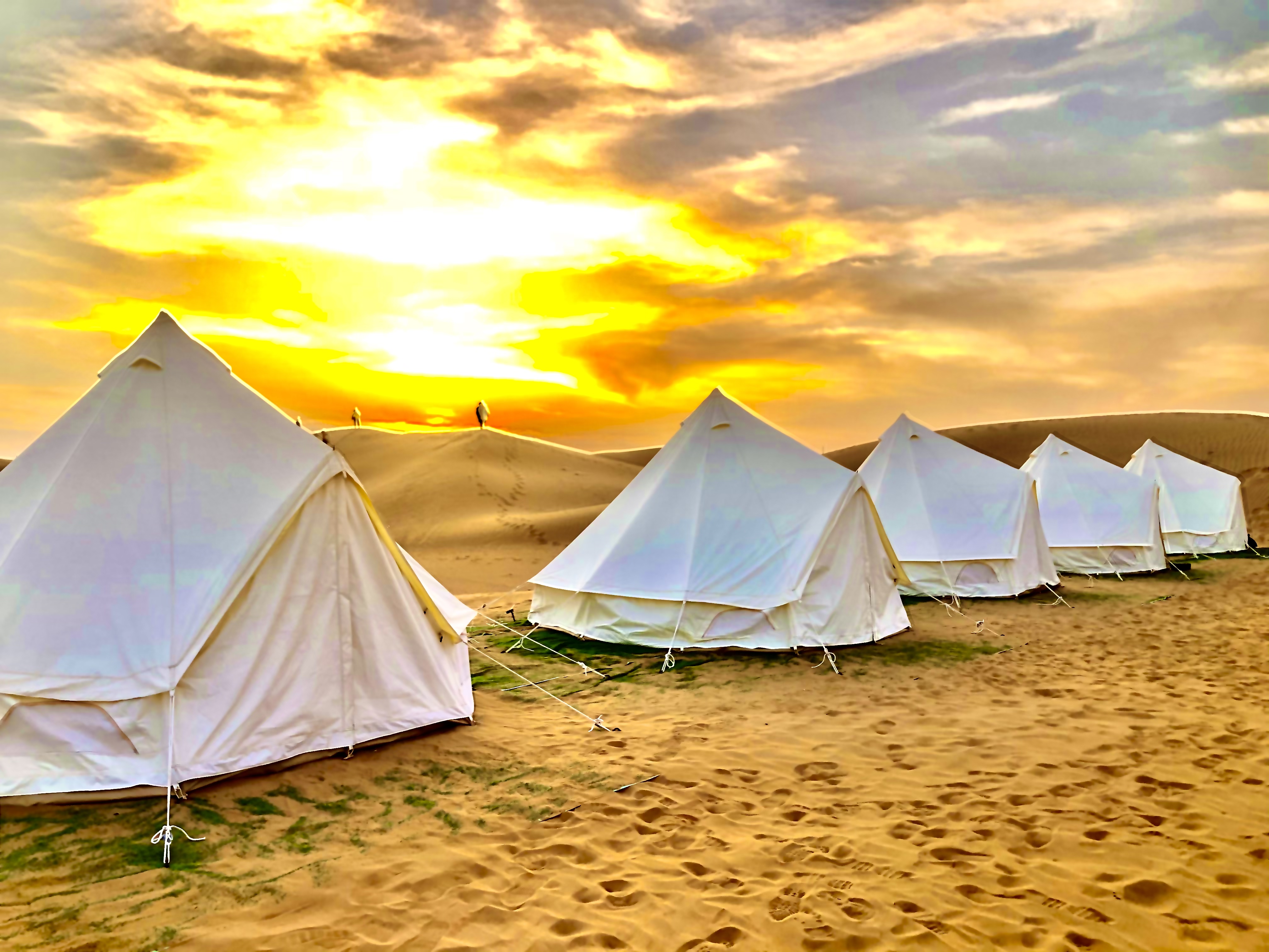 宁夏优选腾格里沙漠沙坡头66号公路星空露营2日游中卫银川出发均可