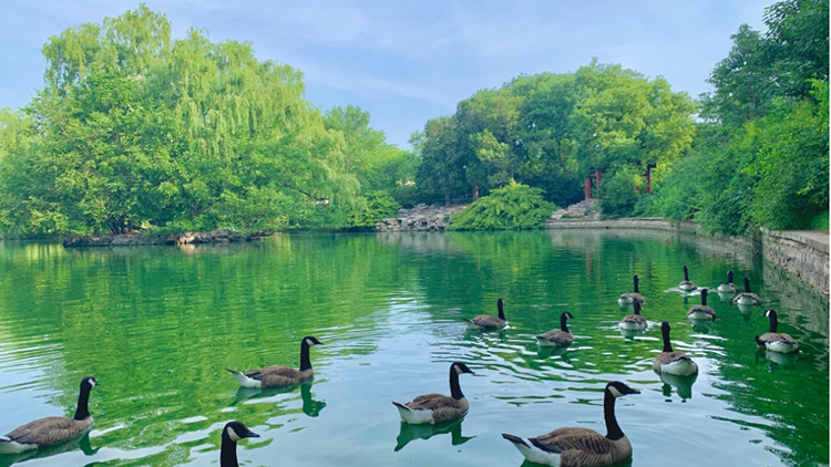 北京海洋館 北京動物園門票(非北京戶籍遊客專享)