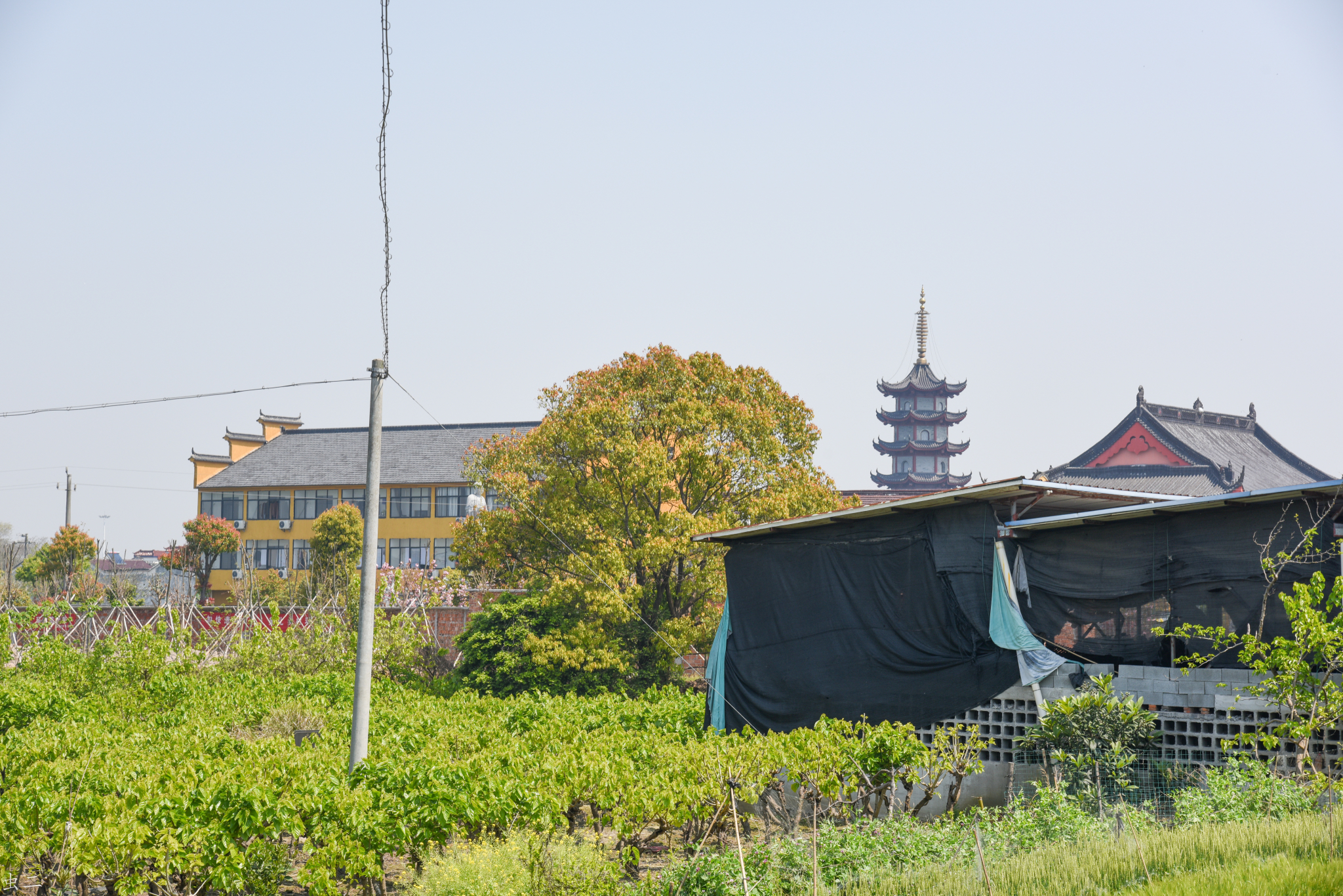 德清步高桥 古桥迷踪 (浙江湖州市德清县禹越镇天皇殿村徐石桥组)