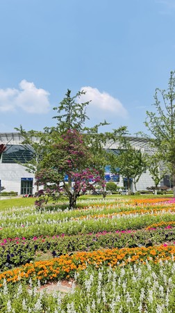 重庆悦来-会展公园旅游图片,重庆悦来-会展公园自助游图片,重庆悦来