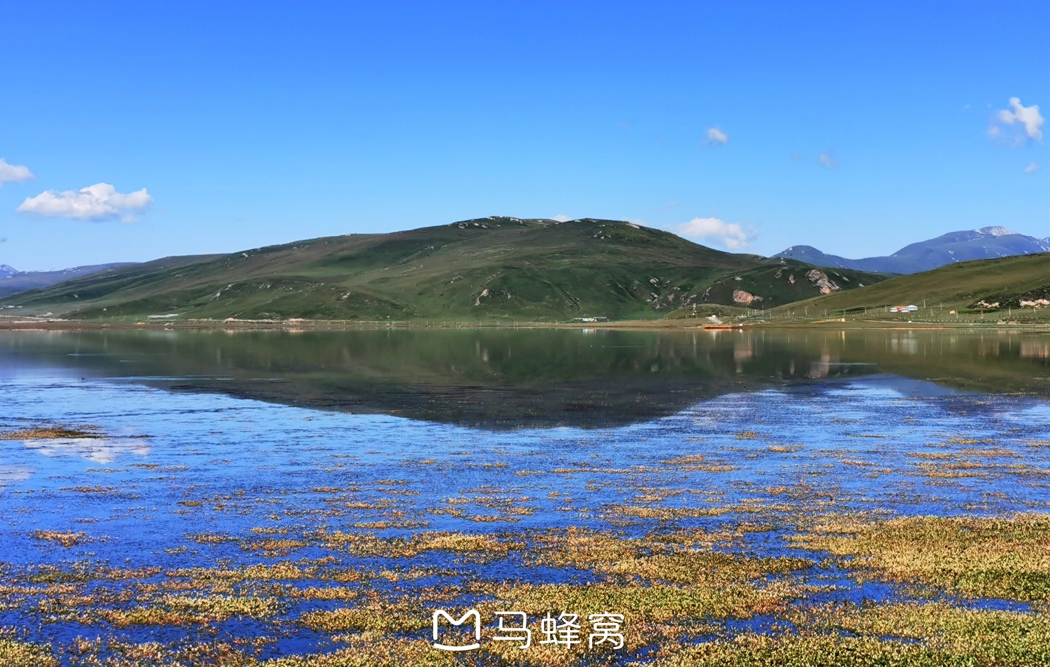 甘肃游之十九:甘南草原游—碌曲尕海湖,郭莽湿地,桑科湿地公园,桑科