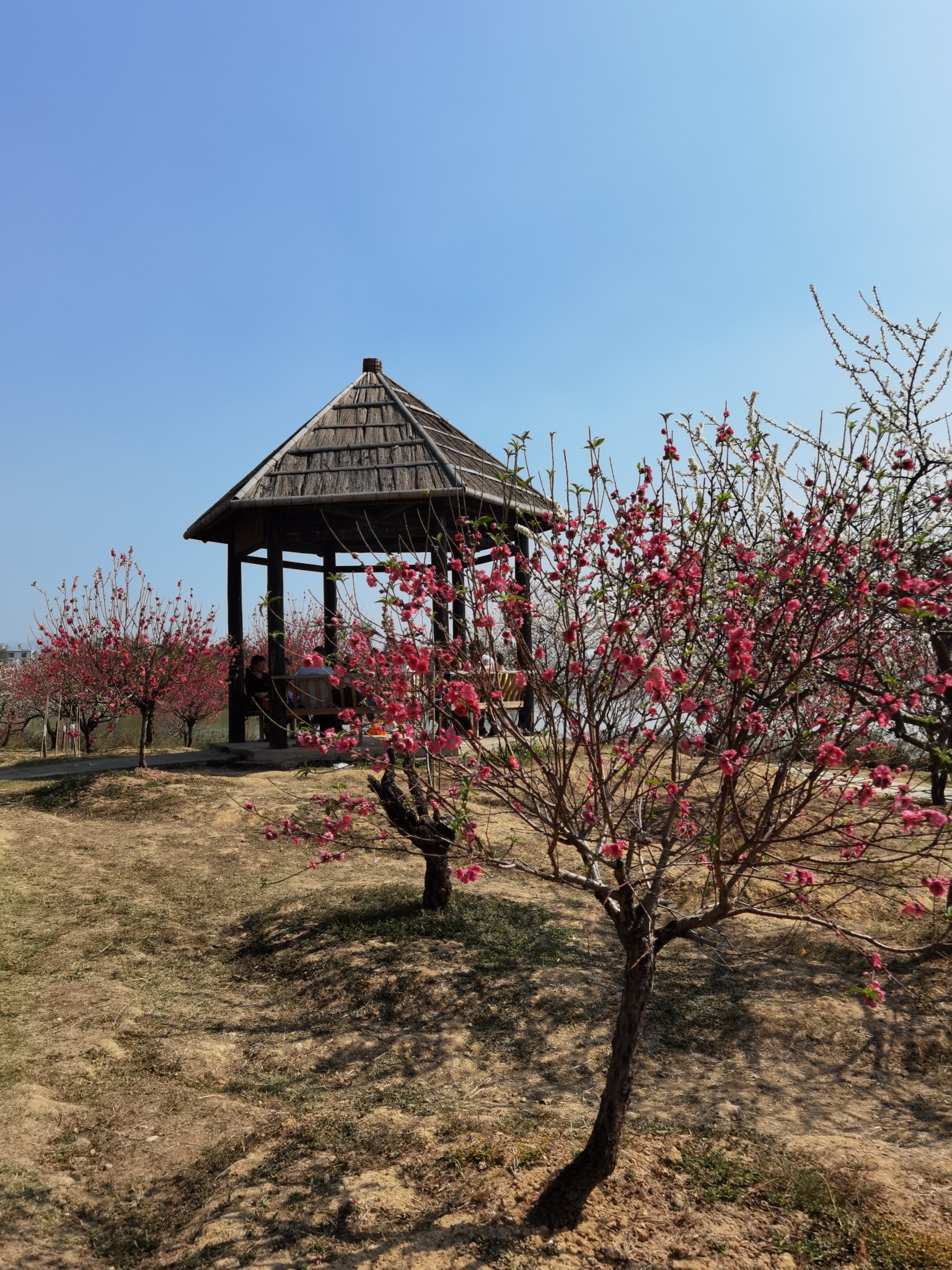 游七星岩桃花岛