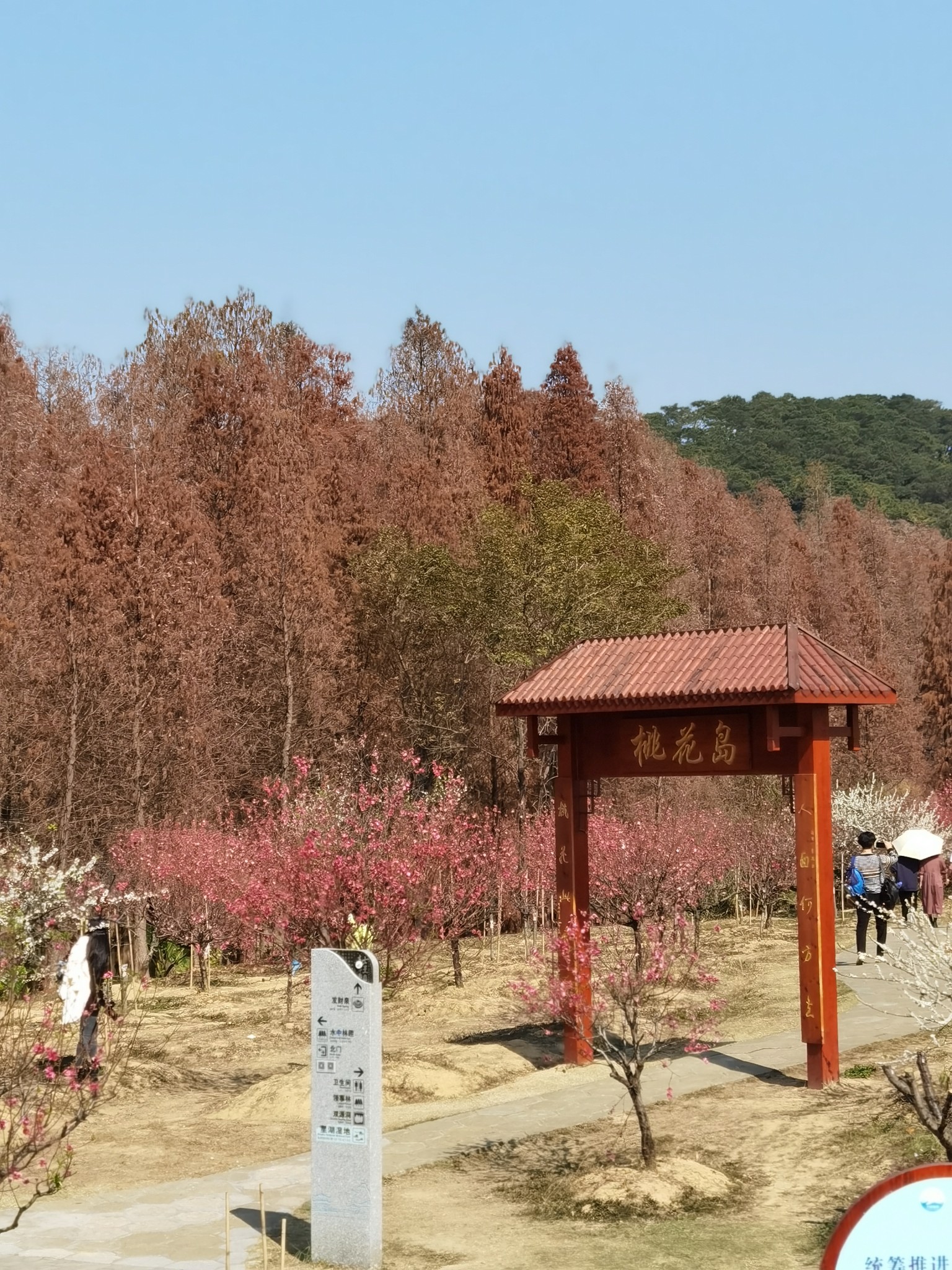 游七星岩桃花岛