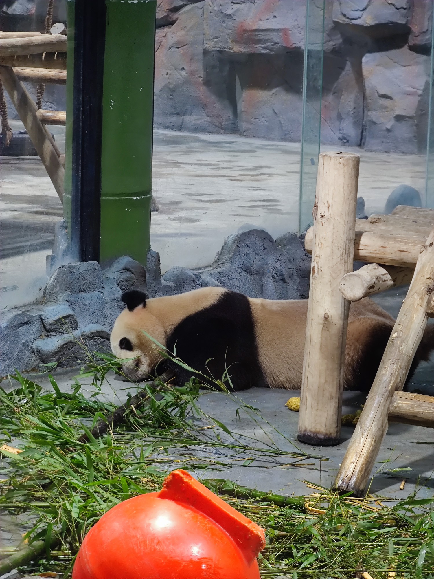 洛陽欒川竹海野生動物園