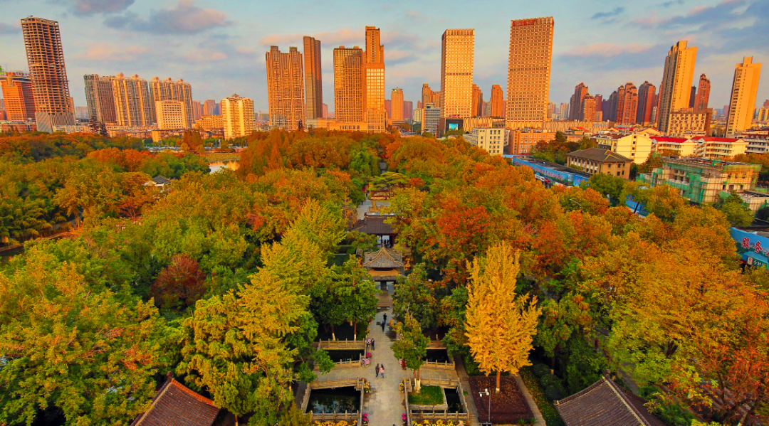 春游江淮请您来 | 合肥文旅图片库作品展(二)