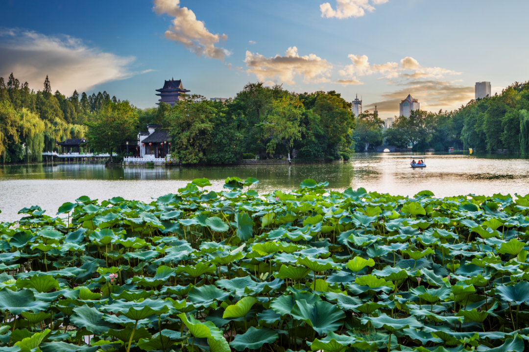 春游江淮请您来 | 合肥文旅图片库作品展(二)
