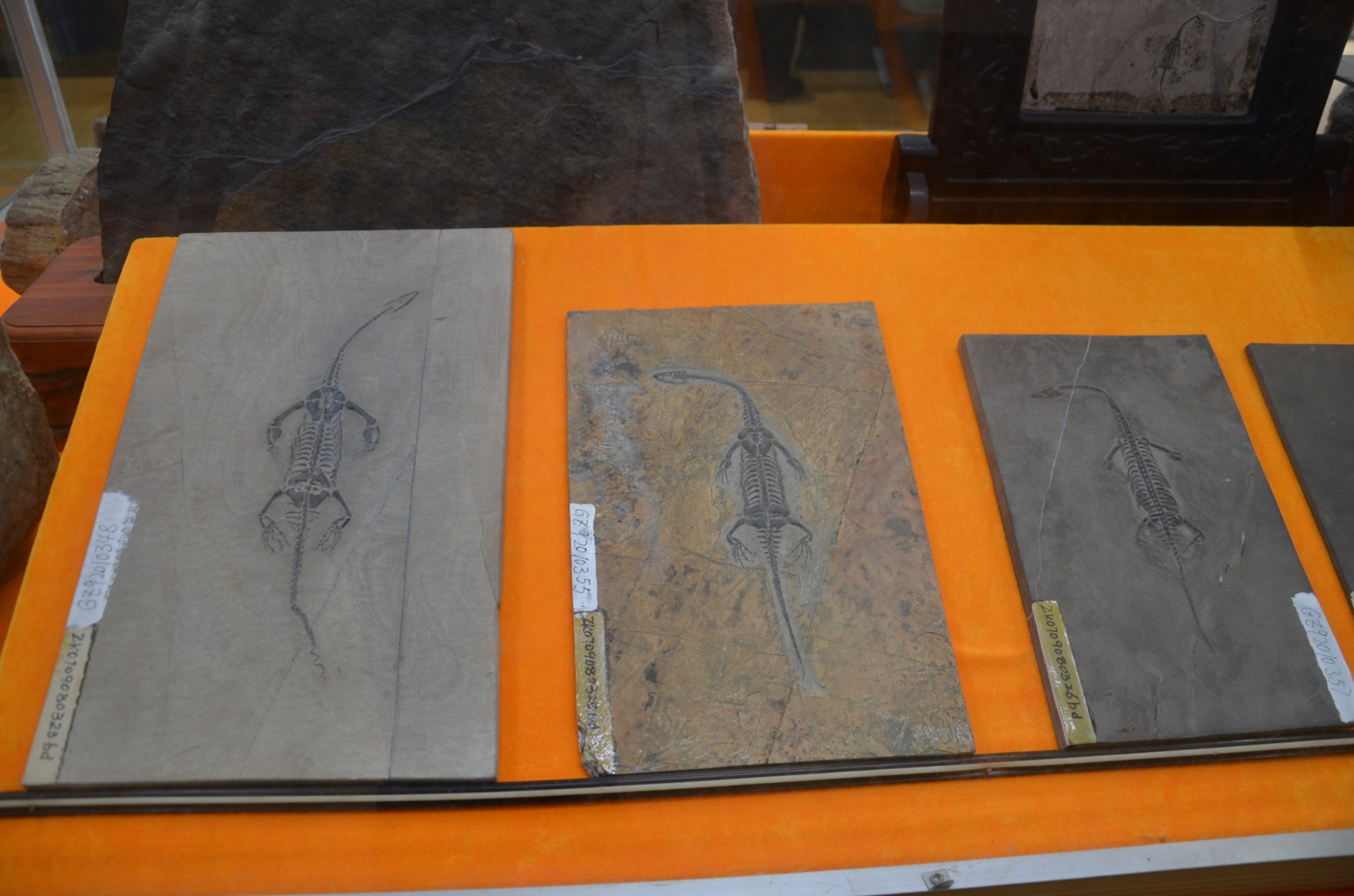 重走长征路9:转战贵州,弓背弓弦