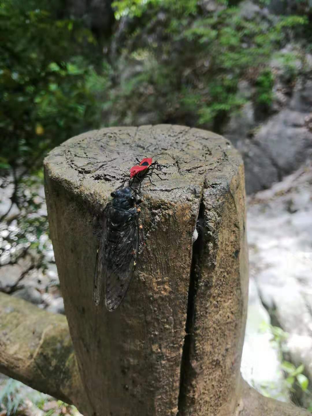 月亮洞与夹石峡