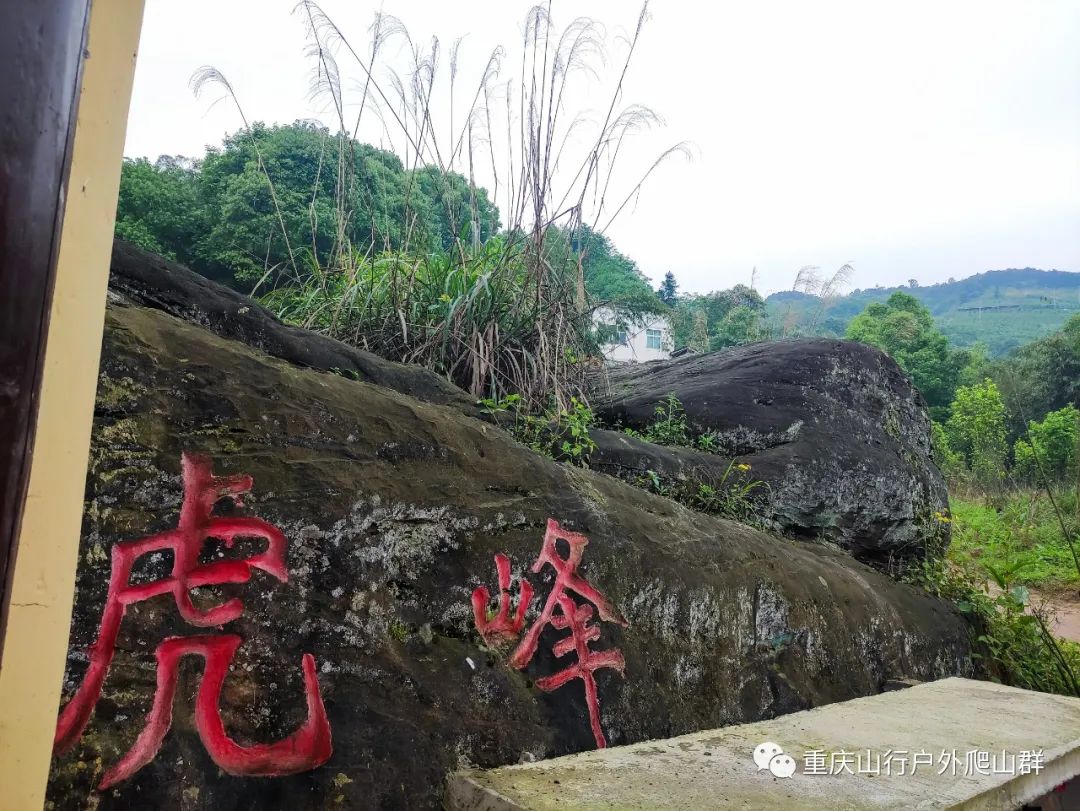 山行游记-探路重庆虎峰山:只为找到