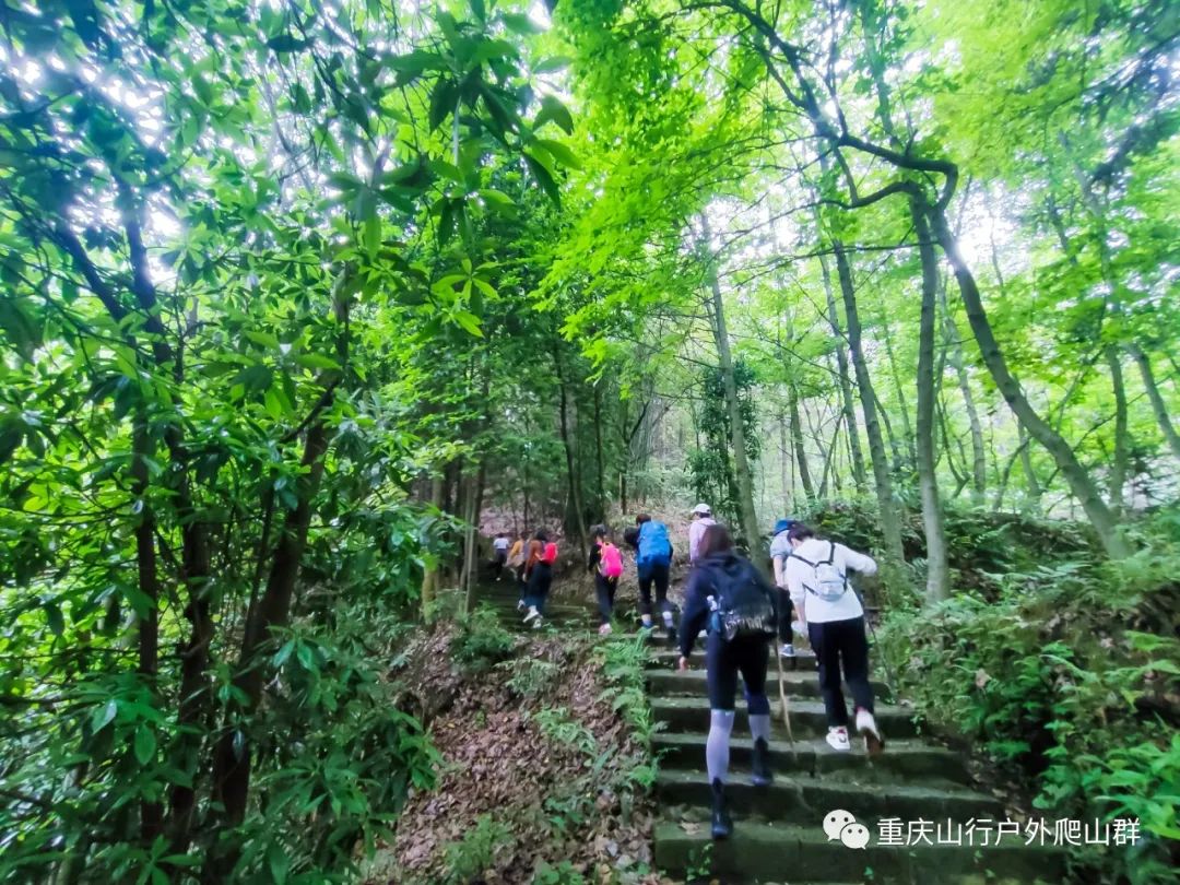 山行游记-探路重庆虎峰山:只为找到