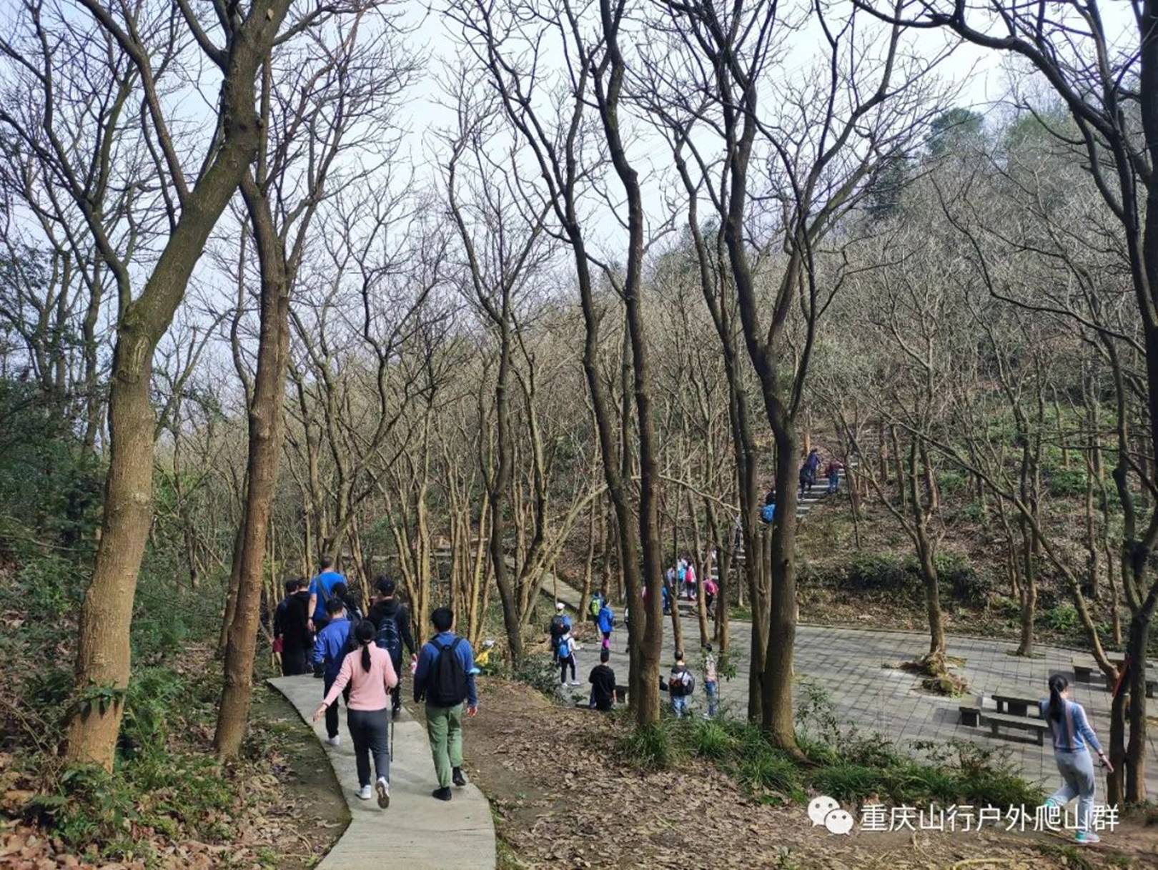尖刀山森林公园