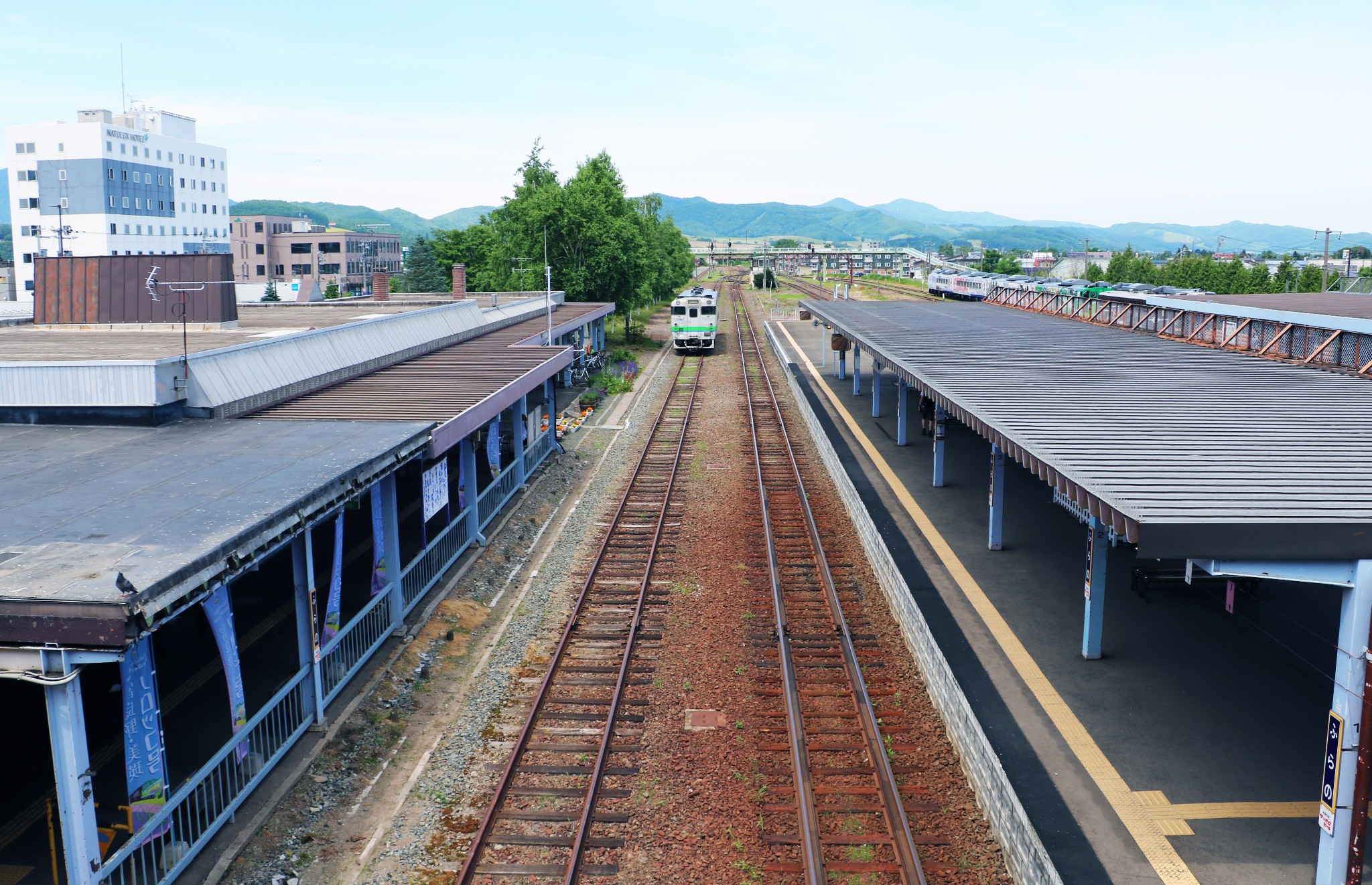 北海道自助遊攻略