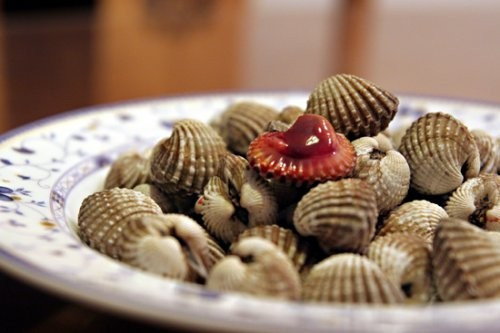 血蛤,我们也叫花蛤的.贝壳类,打开的话,有血.