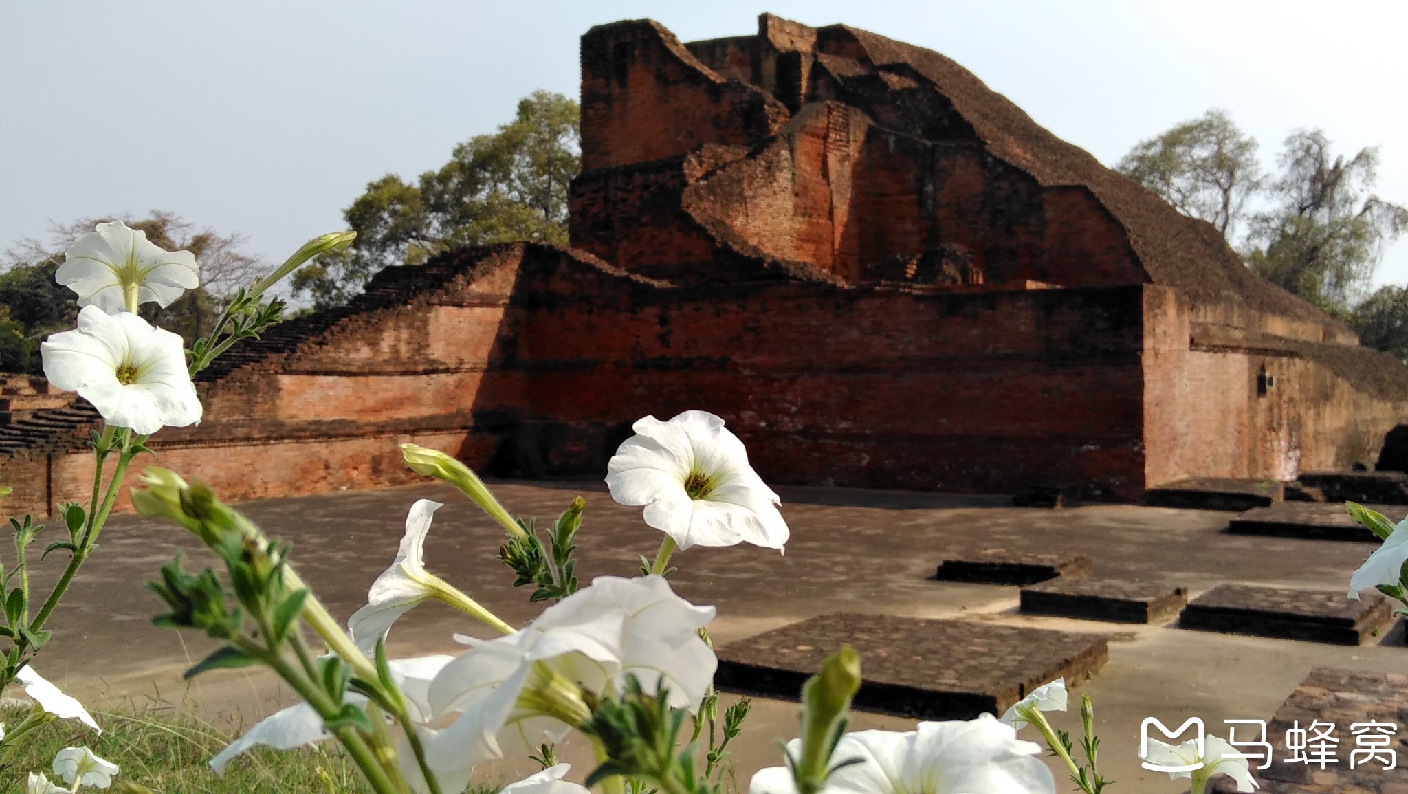 佛陀朝圣之旅:王舍城,那烂陀