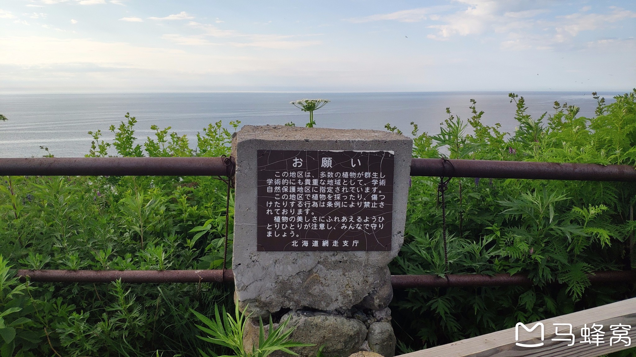 北海道自助遊攻略